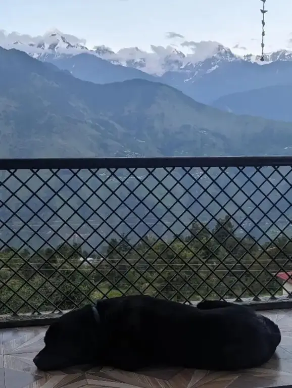Мунсьяри: Goroomgo Mount Kailash Homestay Munsyari