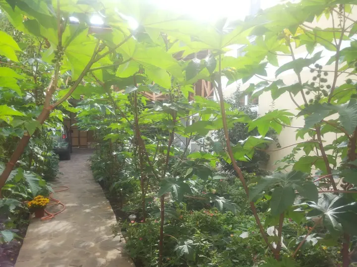 Феодосия: Rusalka Guest House