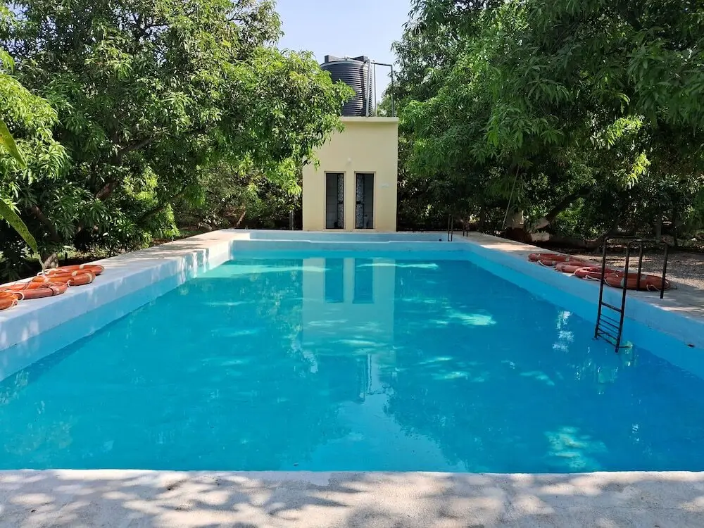 Сазан: Dev Farm Sasan Gir