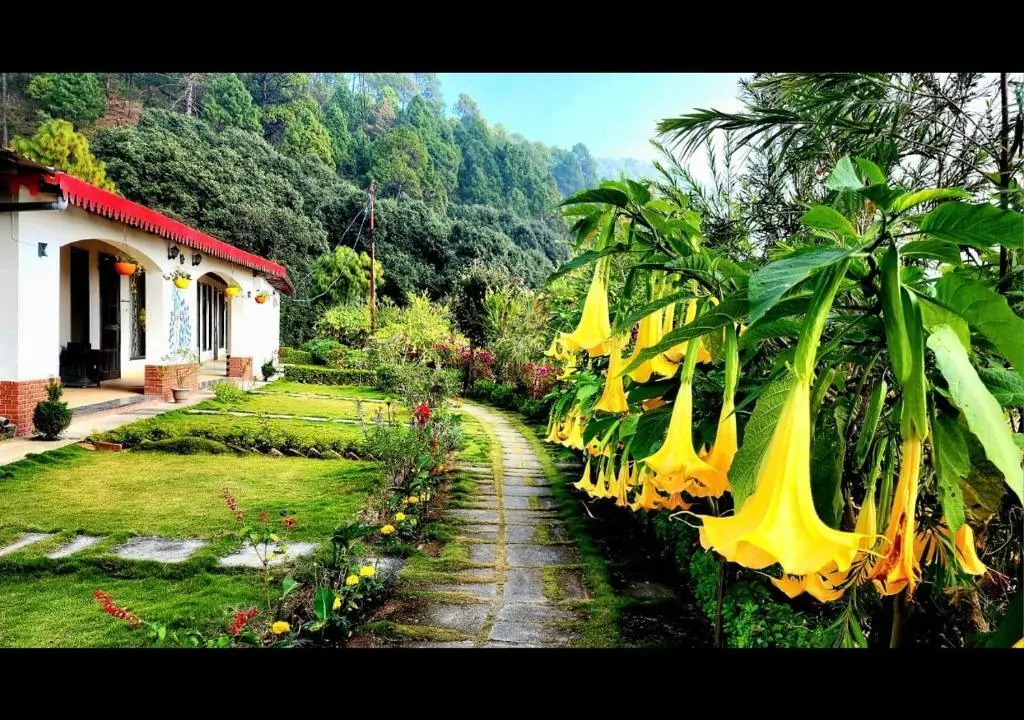 Наинитал: Just Naturals Wellness Resort Nainital