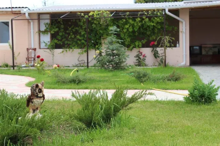 Заозерное: Komfort Guest House