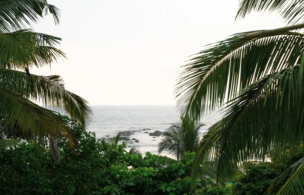 Морджим: Отель Morjim Sea Waves