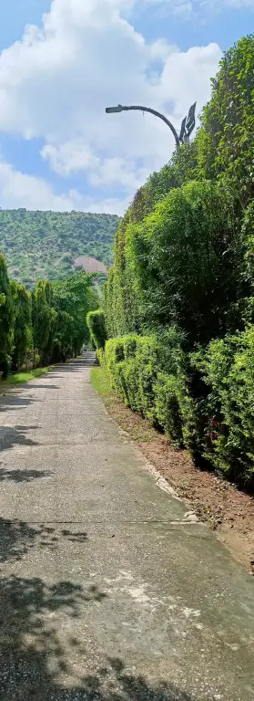 Алвар: Отель Sagar Resort, Dhai Pedy, Near Kati Ghati Alwar