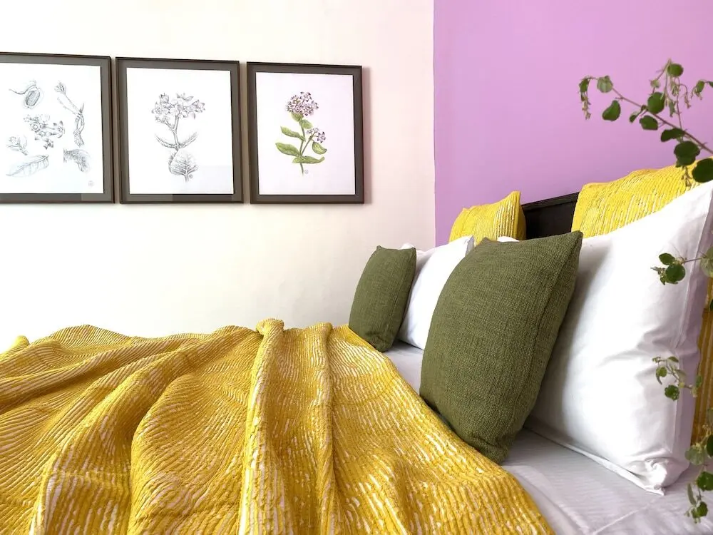 Khiyansaria: Kaner Retreat - India's First Desert Botanical Resort