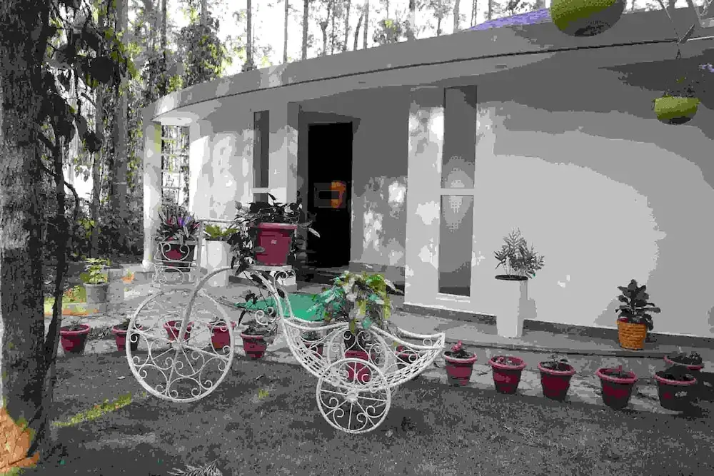 Каймара: One Piece Homestay