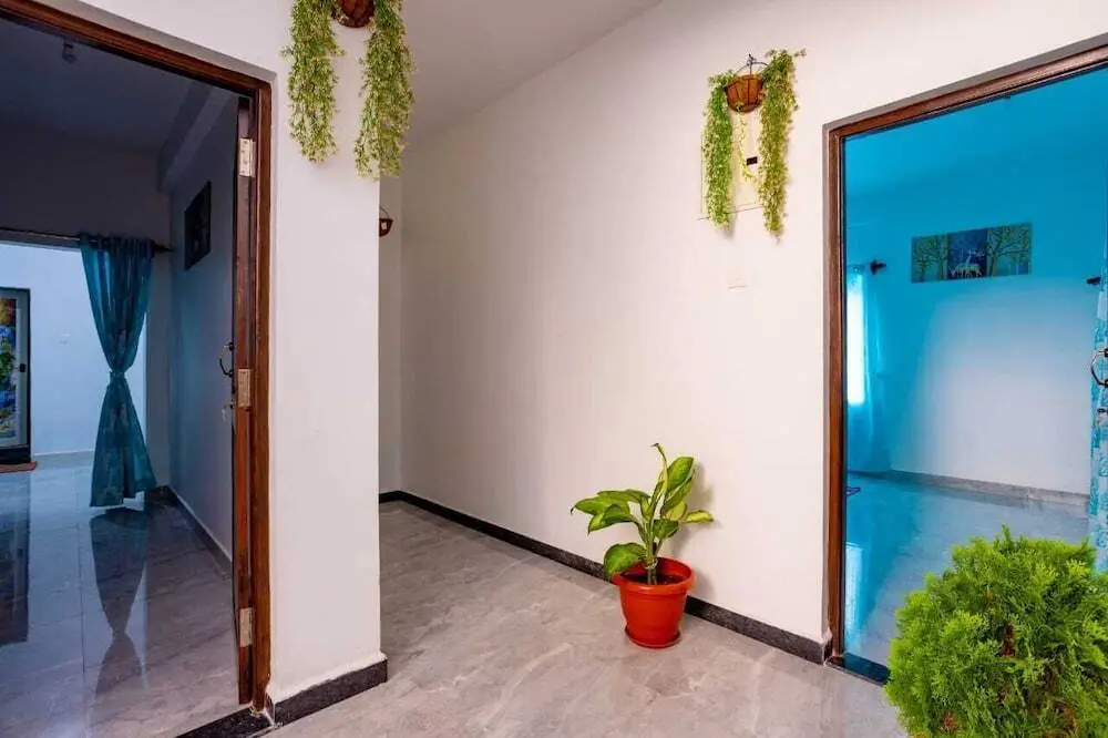 Калангут: Goan Fiesta Studio Calangute