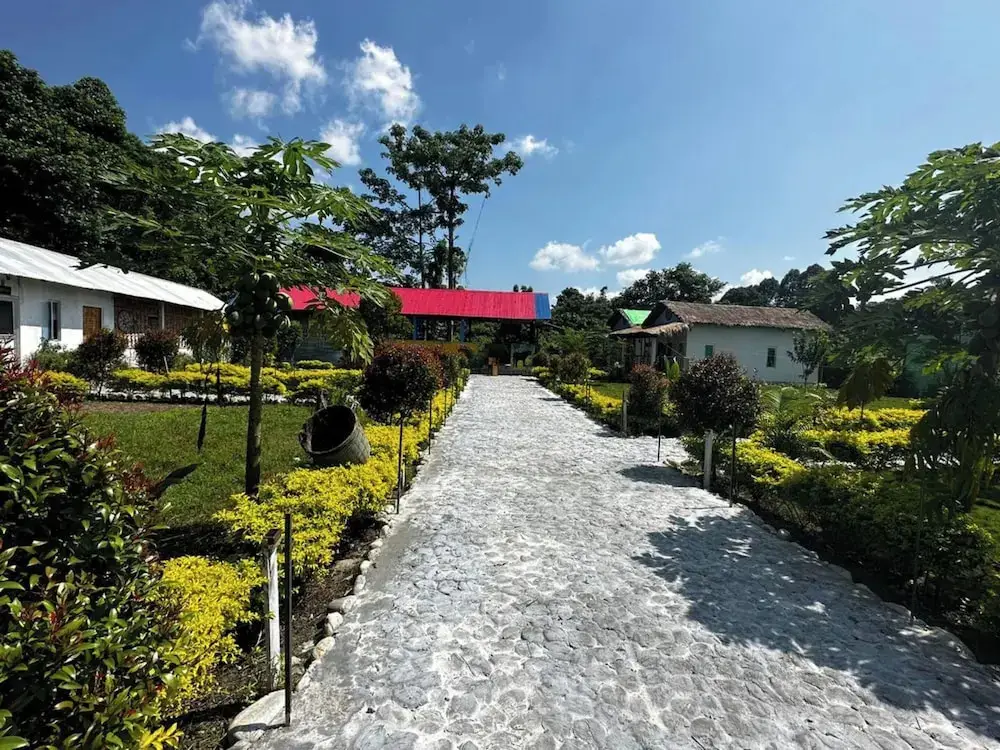 Falcon Jungle Resort — фото 1
