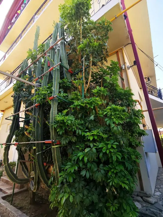 Красная Поляна: Guest House Daniel