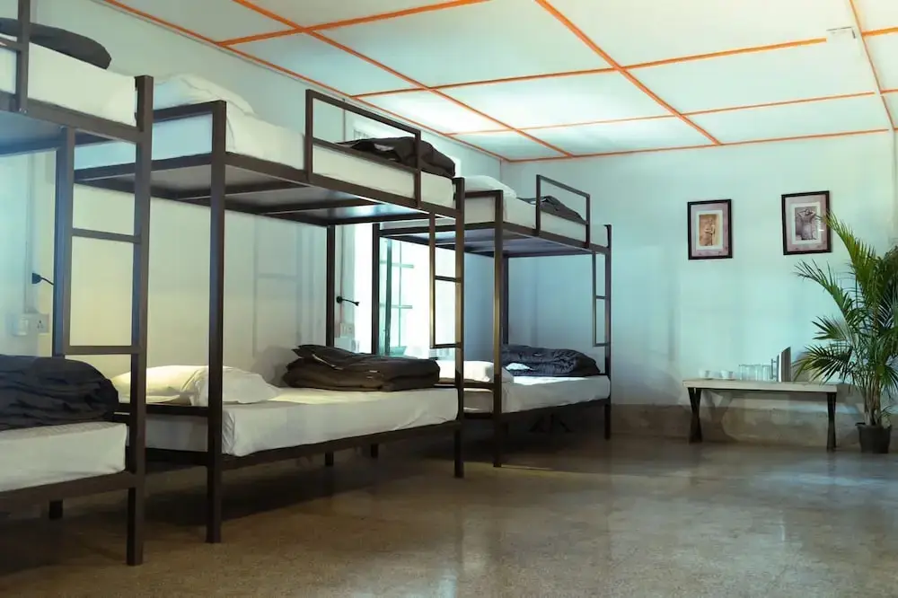 Сурянелли: Tentgram Plantation Hostel Suryanelli