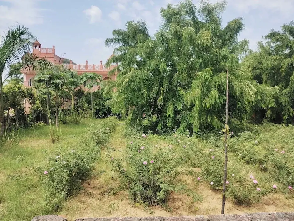Аджмер: Janardan Resort Pushkar