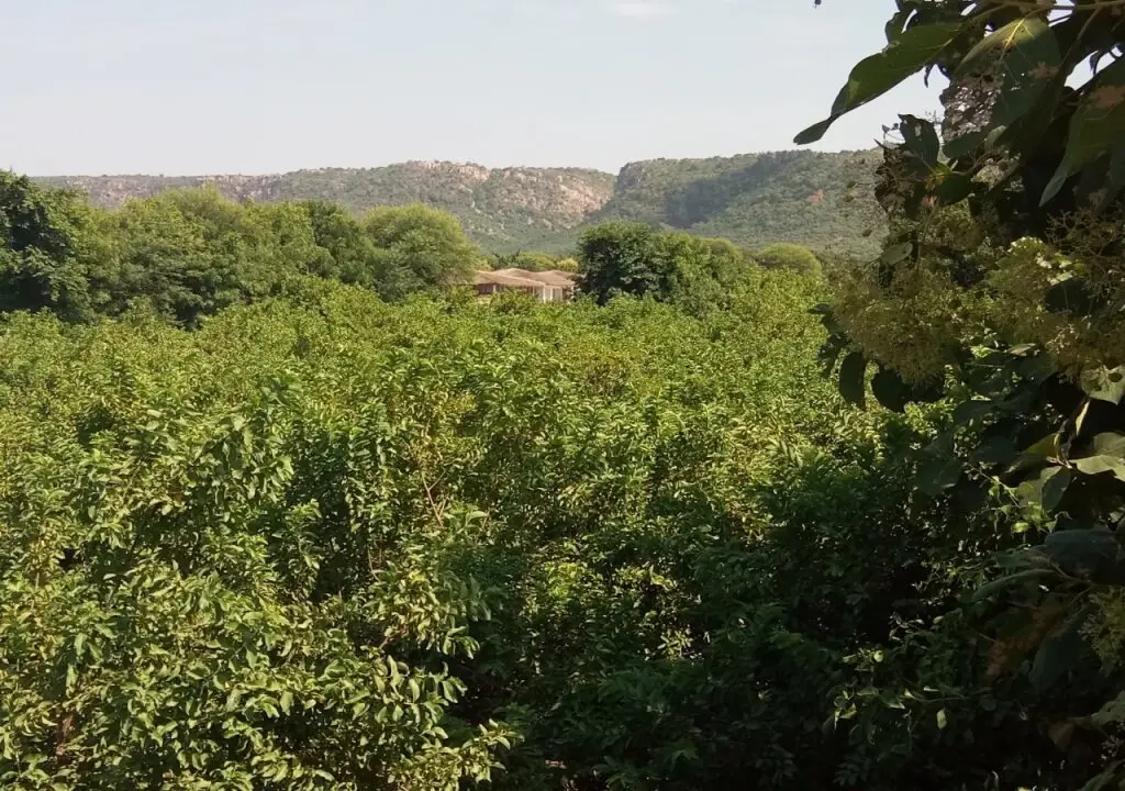 Савай-Мадхопур: Hotel Ranthambore Vinayak