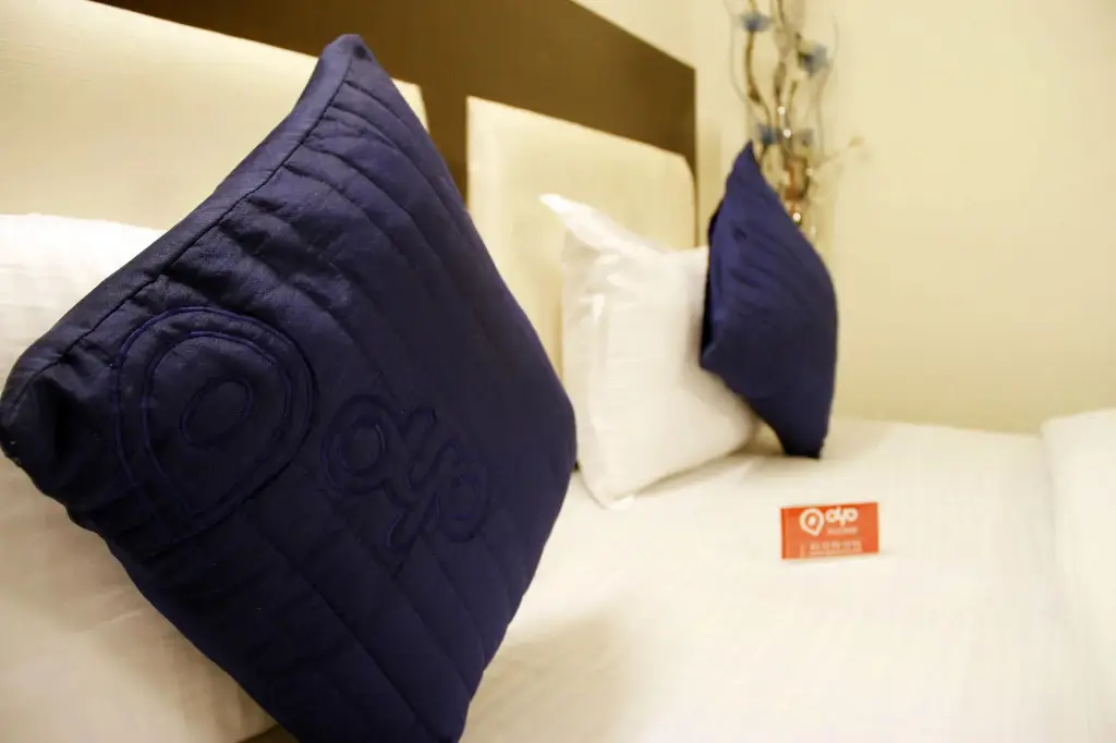 Нью-Дели: OYO Rooms Safdarjung Extension