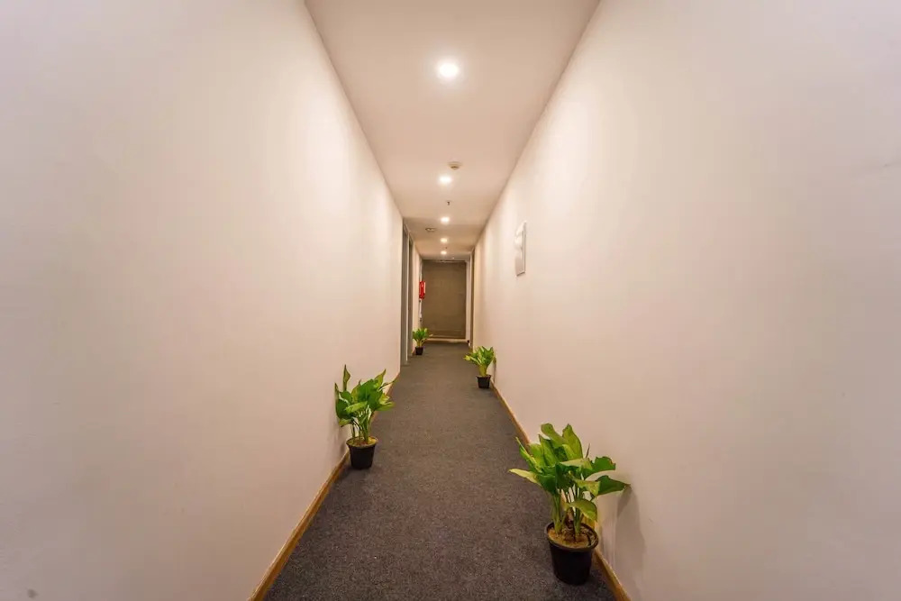 Нойда: Treebo Premium Inn