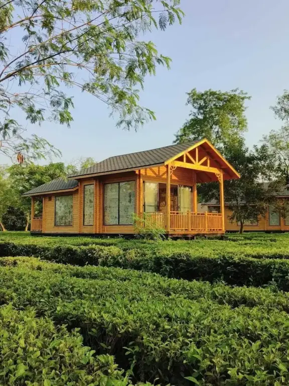 Тезпур: The Postcard in the Durrung Tea Estate