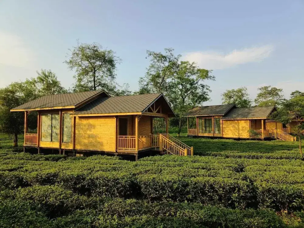 Тезпур: The Postcard in the Durrung Tea Estate