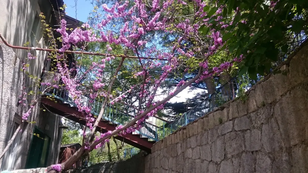 Ялта: Na pereulke Sverdlova Hostel