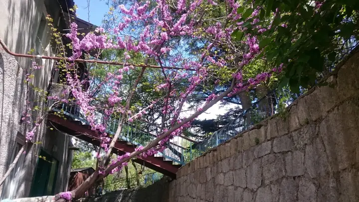 Ялта: Na pereulke Sverdlova Hostel