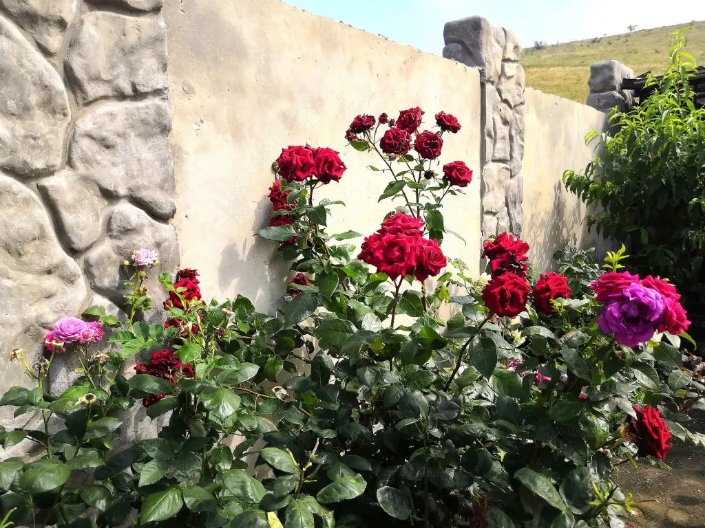 Коктебель: Гостевой Дом Кибер Крепость