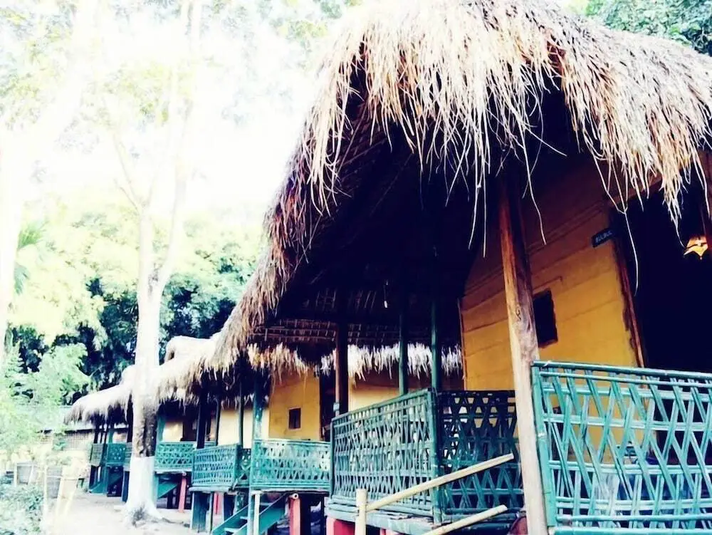 Кохора: Nature Hunt Eco Camp
