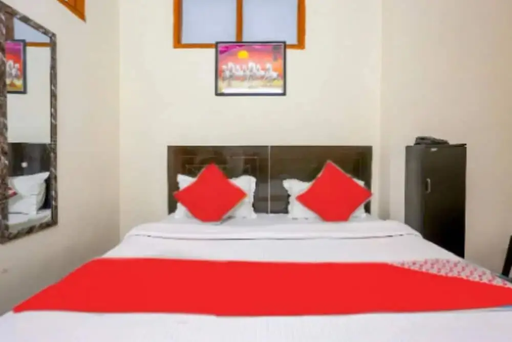 Нью-Дели: Hotel Perfect Inn