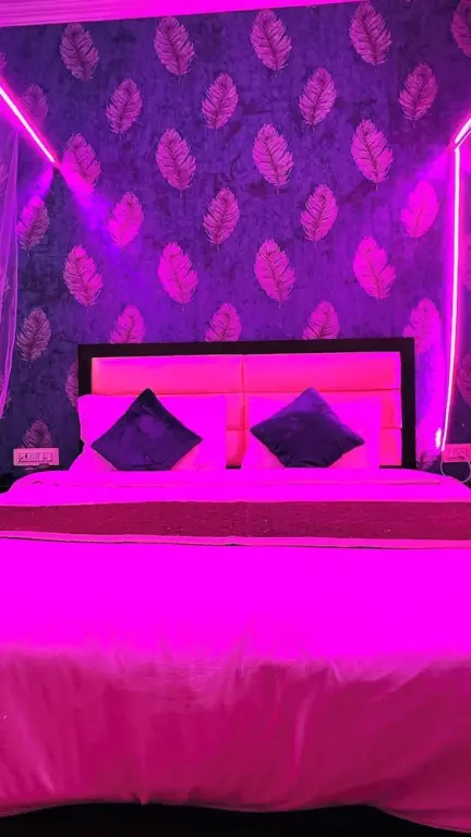 Джайпур: Hotel Krishna Pride