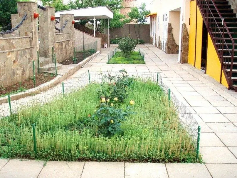 Заозерное: Oazis Guest House