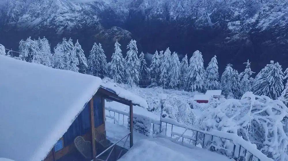 Чамоли: Bluepoppy Resort Auli