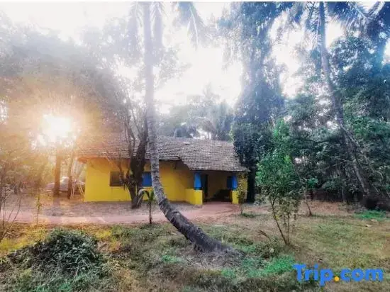Южный Гоа: Little Yellow House • Insta: @little.yellow.house1943