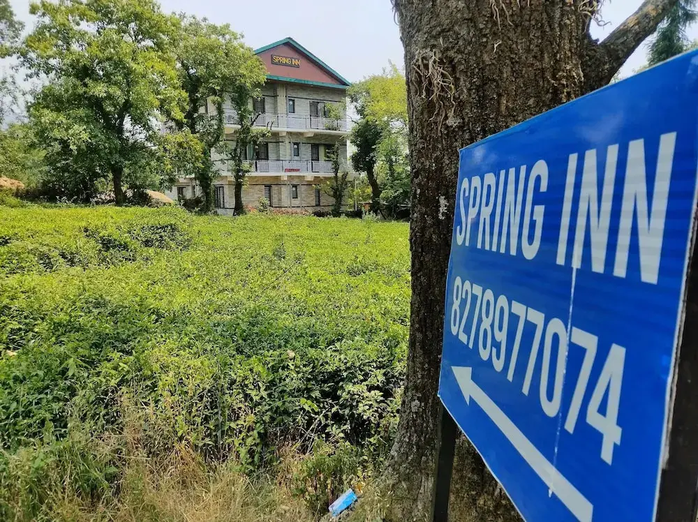 Spring Inn — фото 1