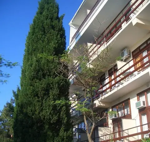 Morskoj Briz (Gurzuf) — фото 1