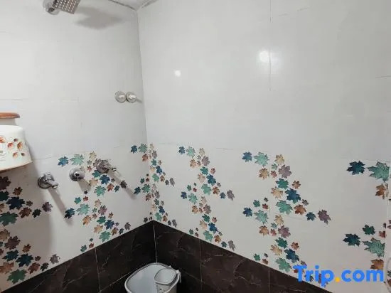 Krishnaalay Guest House — фото 1