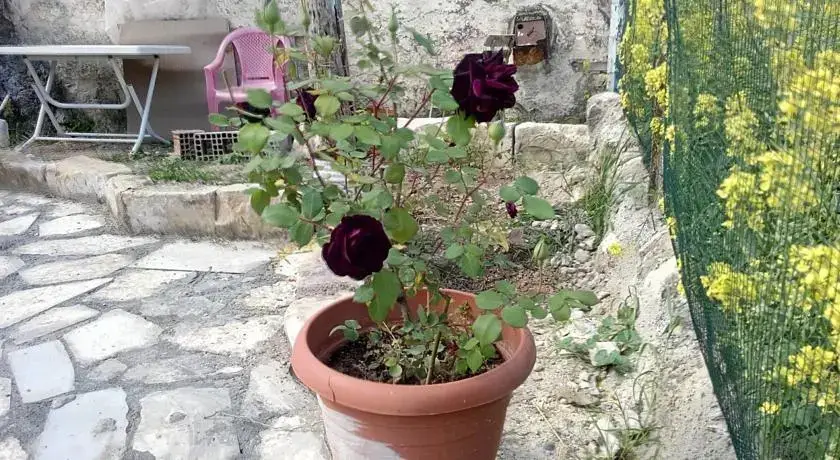 Homestay Halfeti Fırat Pansiyon — фото 1