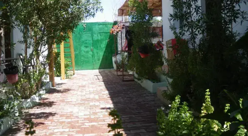 Дахаб: Dahab Days Studios