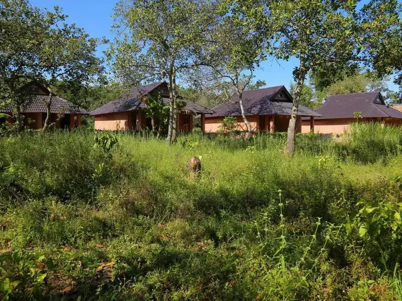 Cat Tien Forest Call Lodge — фото 1