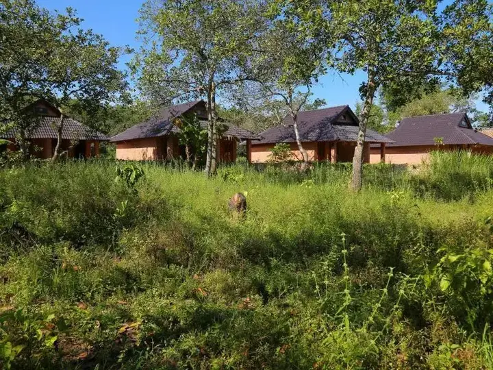 Да-Хуоай: Cat Tien Forest Call Lodge