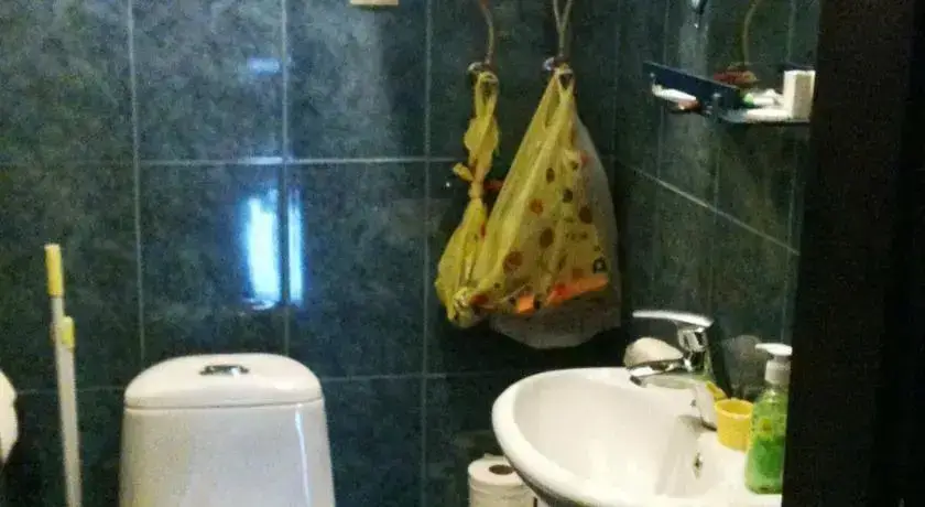Тбилиси: Green Apartmnet on Shenchenko
