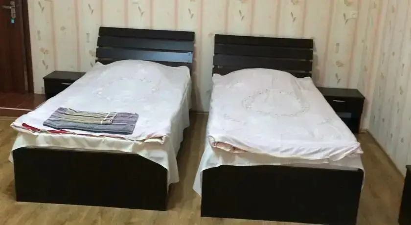 Рустави: Pegass Hotel