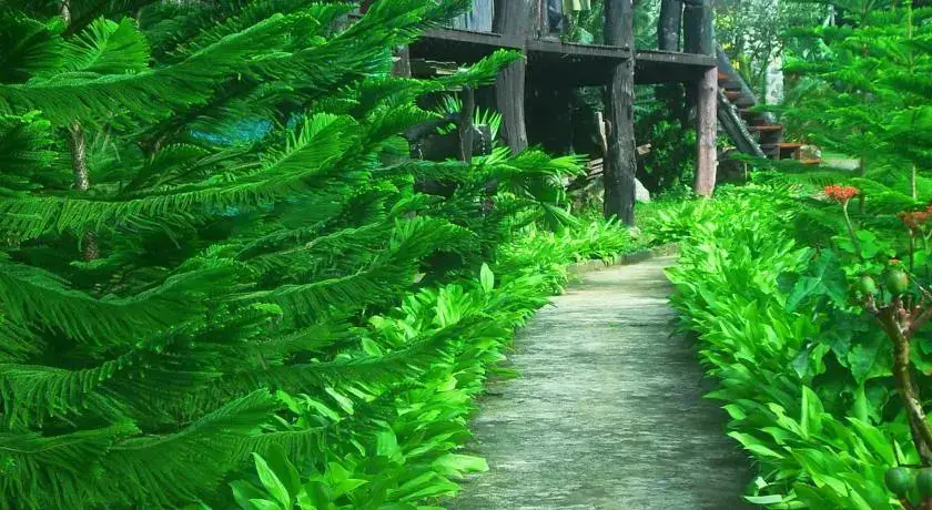 Пангмапха: Baan Chonpao camping and resort