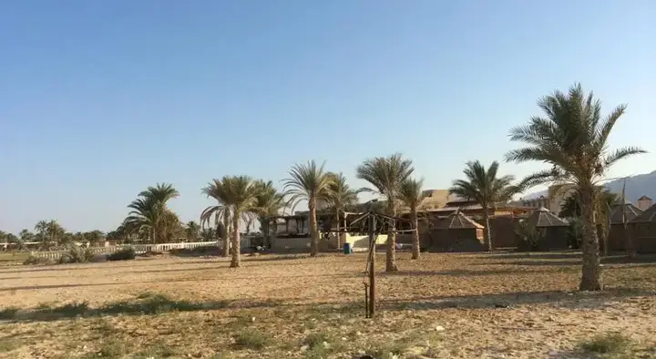 Нувейба: Fayrouza Camp