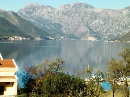 Доброта: Apartments Adriatic