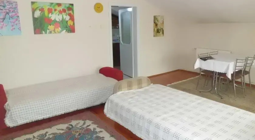 Узунгёль: Ayasofya Apartment