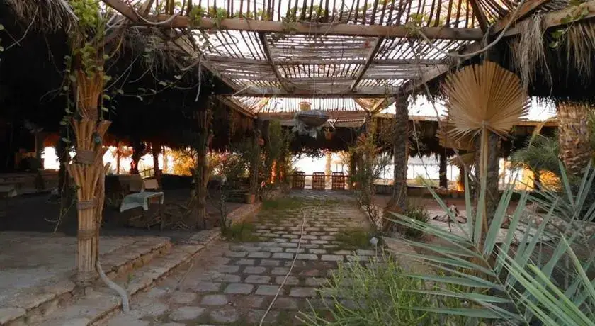 Нувейба: Sababa Camp
