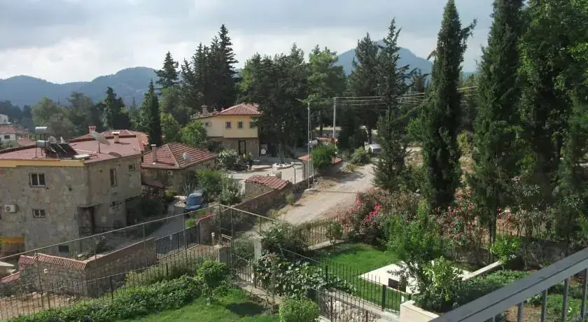 Бейджик: Beycik Paradise