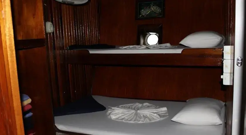 Хулуле: Mv Aisha