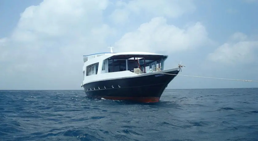 Хулуле: Mv Aisha