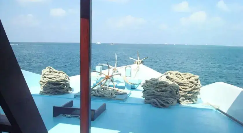 Хулуле: Mv Aisha