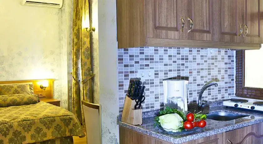 Стамбул: Theatre Suite Old City House Istanbul