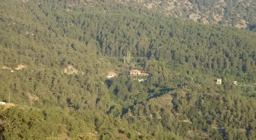 Какопетрия: Zorpides House