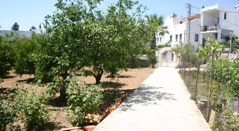 Бодрум: Villa Nur