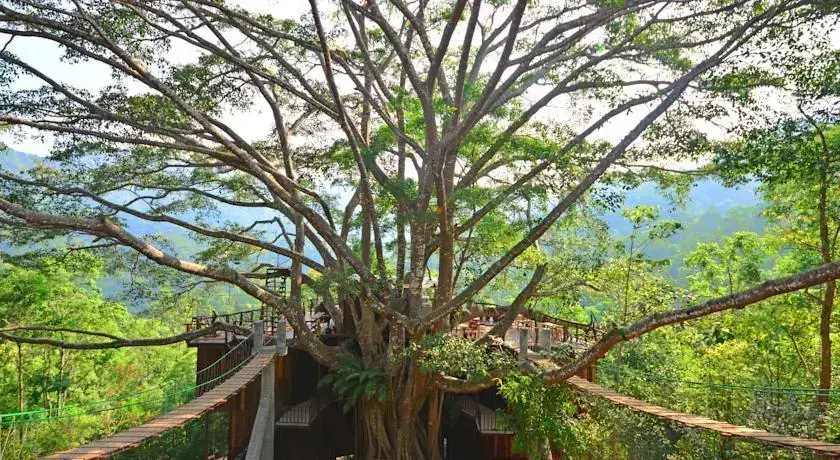 Мае-Он: The Giant Chiangmai